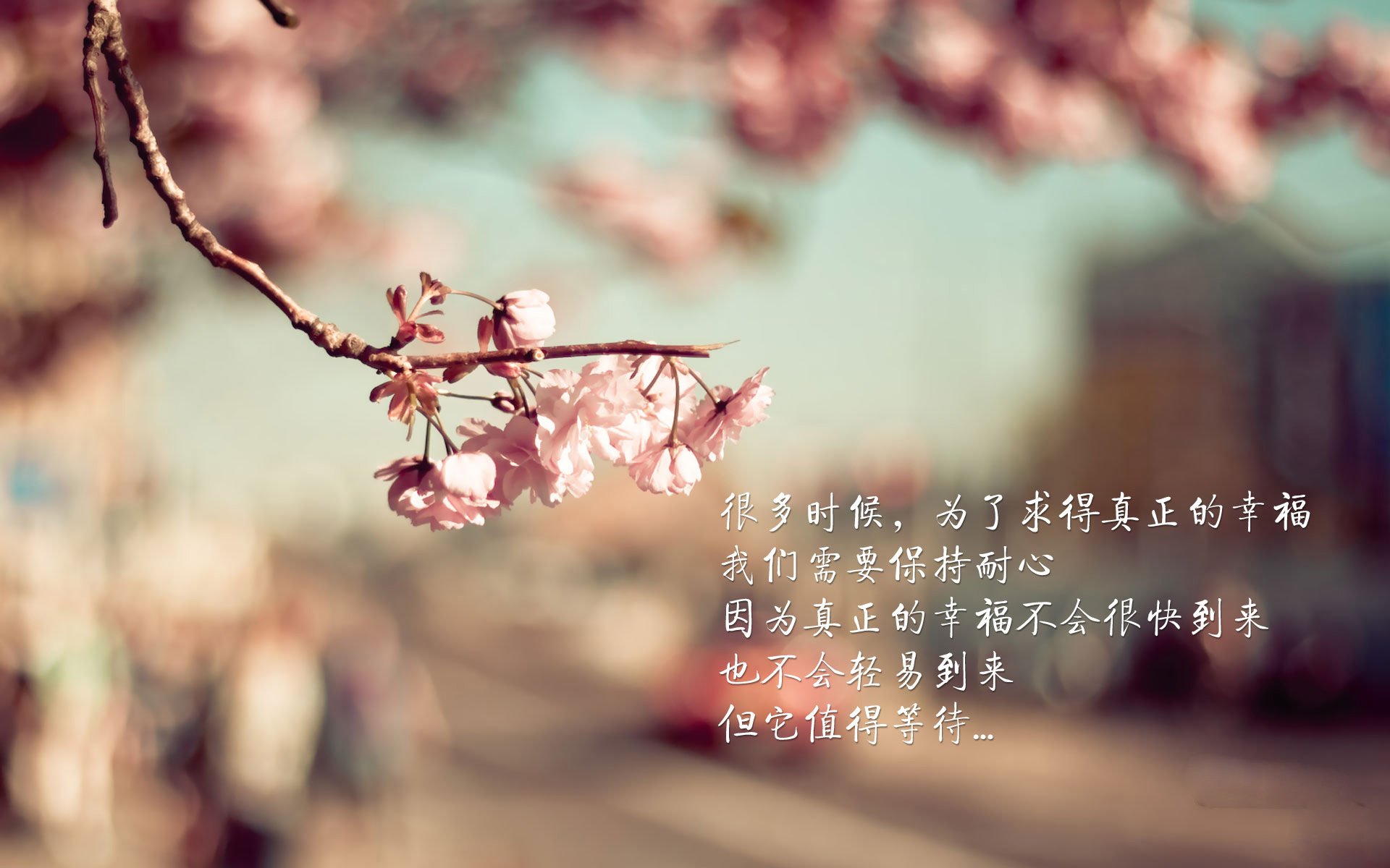 开云体育视频直播-_午后激战：男子单打决赛将迎来终极PK_，午后dj