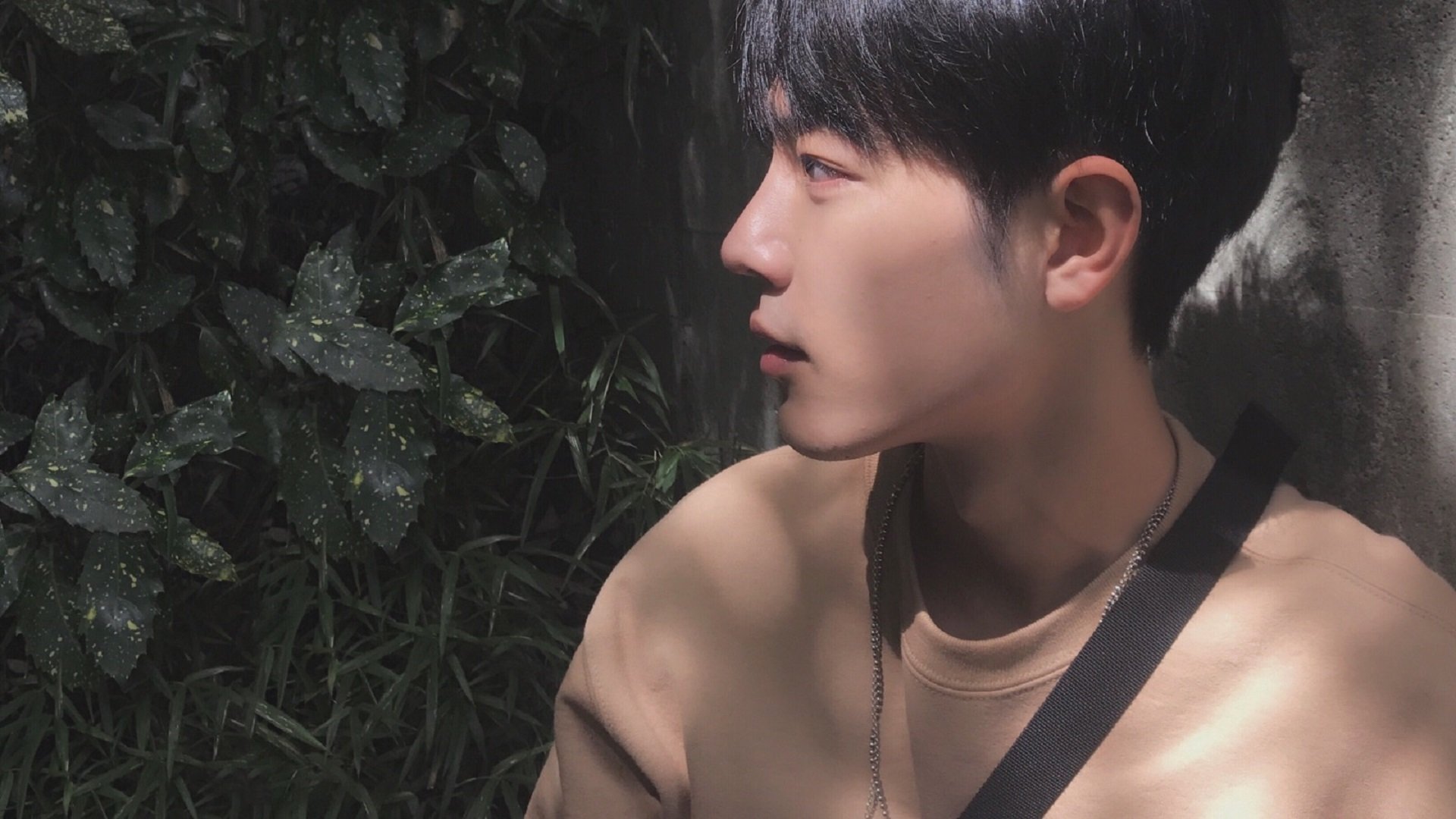 开云首页登录-_运动员营养指导：科学饮食助力赛场发挥_，运动员膳食营养的常见问题