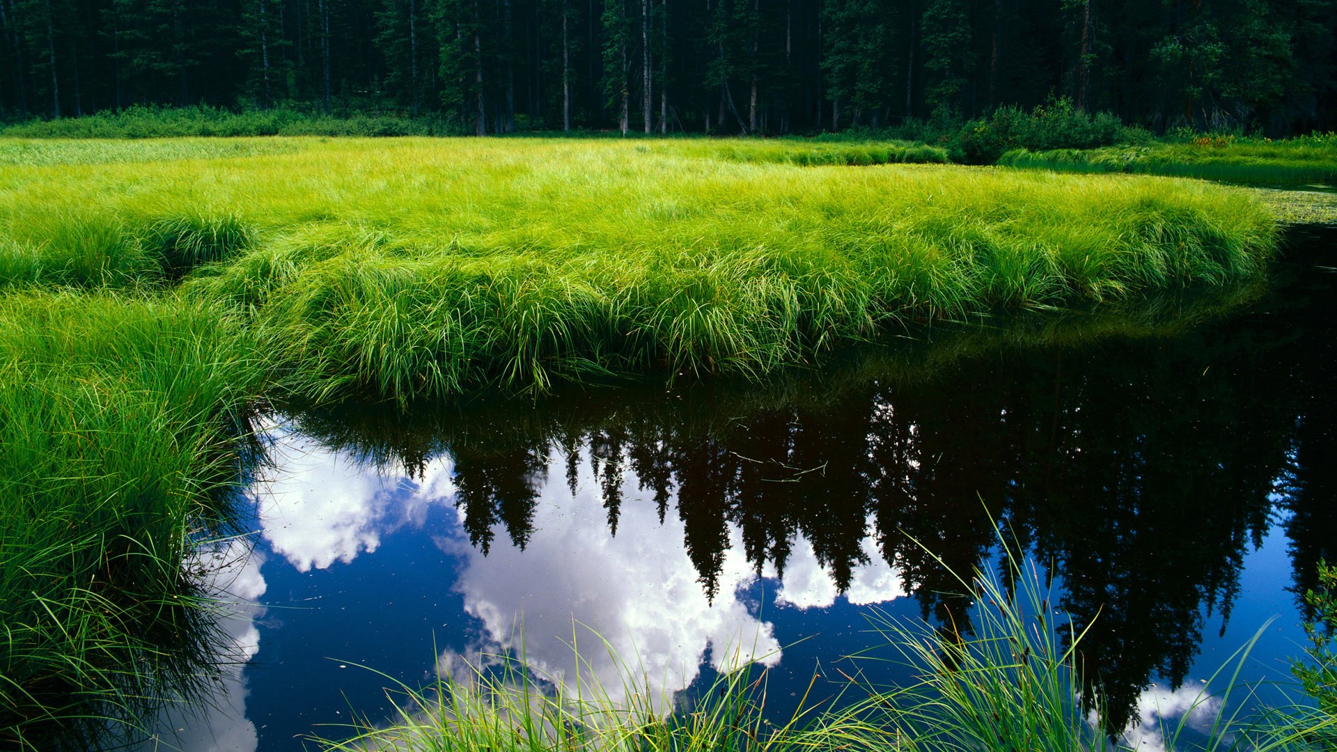 开云体育中国官网-_魔术队耐心磨合，迎战强敌迎来突破_，魔术队介绍