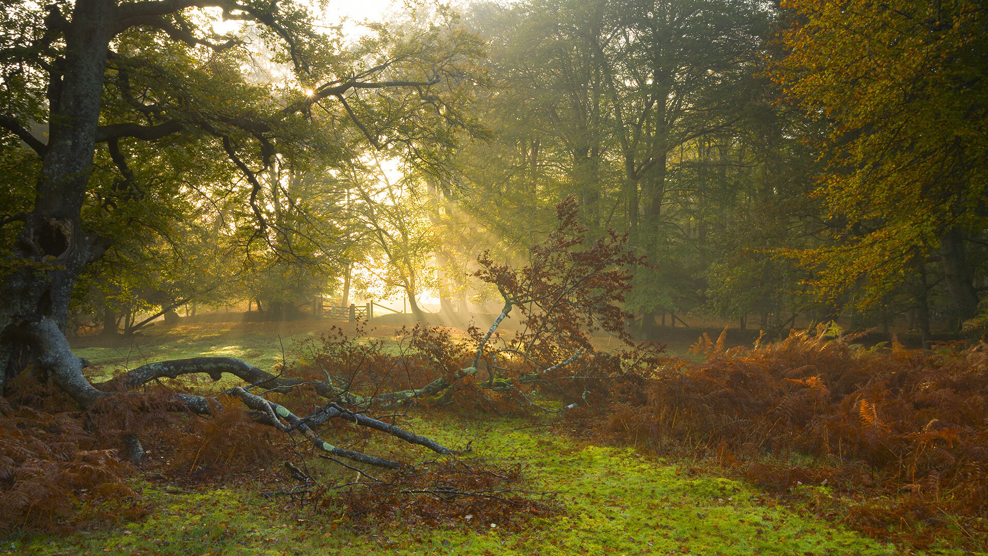 开云网页版-“巨星争霸：联盟最顶尖的明星正面对决”，巨星联盟团队