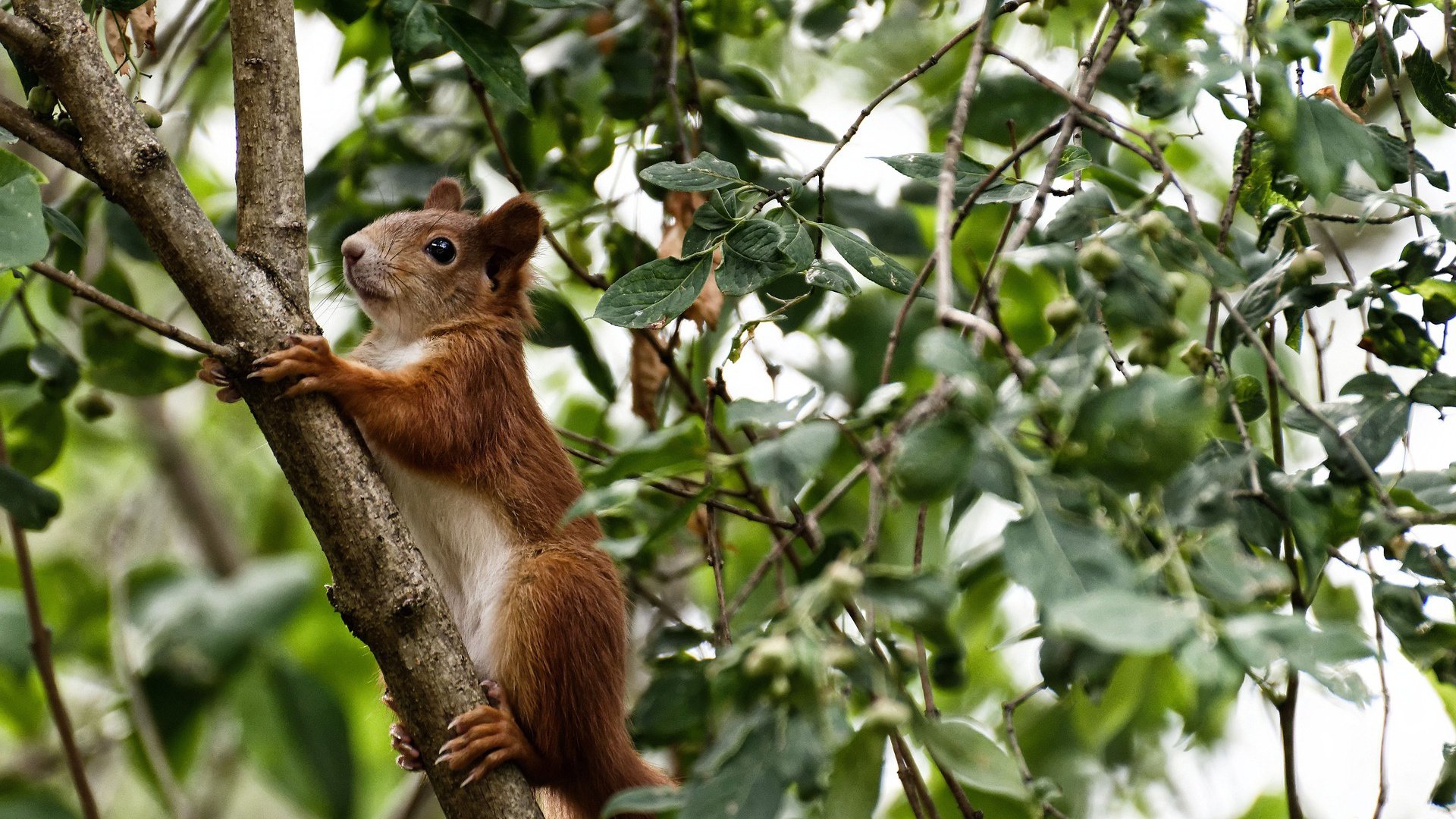 开云下载-历史时刻：那些永载史册的经典比赛瞬间，有关历史的比赛