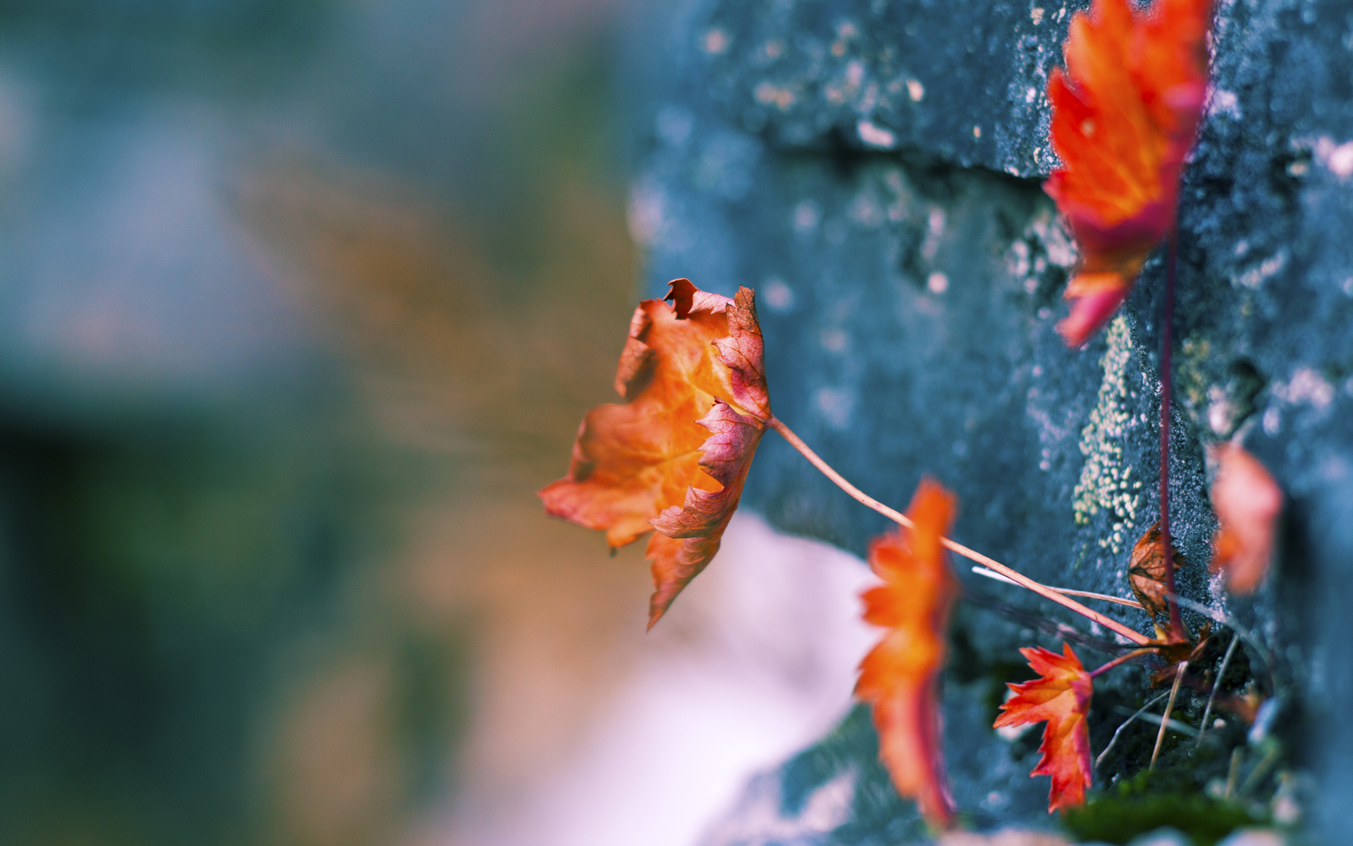 开云APP-线上线下融合创新模式，推动青少年篮球全民参与度提升，线上篮球活动