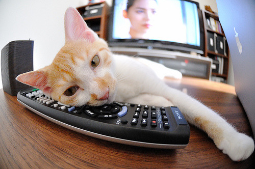 开云中国-球队精神：赓续的冠军文化传承，球队精神达到90