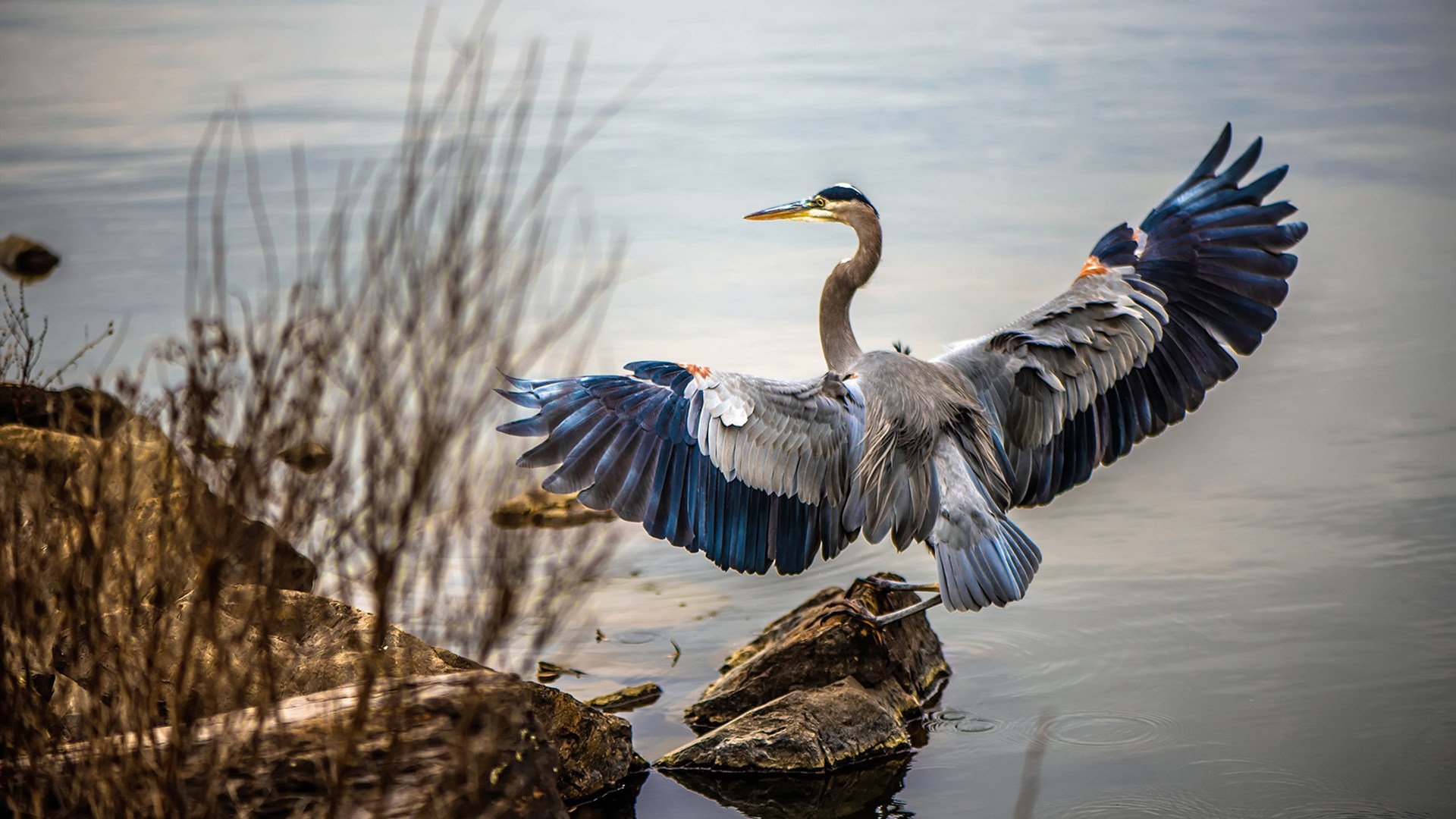 开云·体育官网APP下载-中国男篮强化一对一防守巩固外线强度，中国男篮对阵