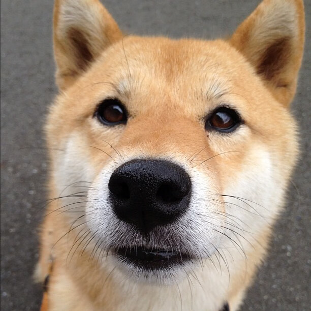 开云体育在线赛事直播-体育场馆智能管理系统试点应用，效率显著提升，体育场馆智能化解决方案