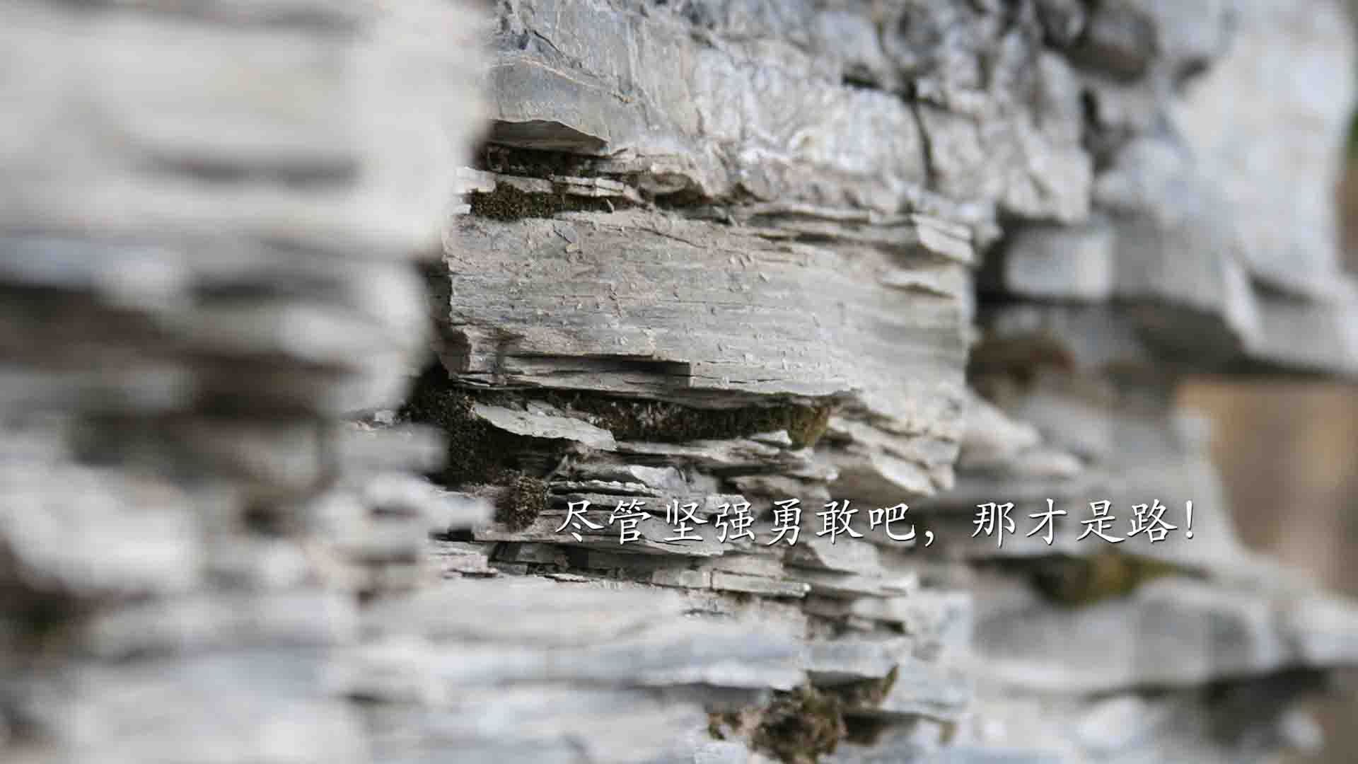 kaiyun网站-意甲极速突袭：瞬间突破，赢得喝彩！，意甲高能7秒