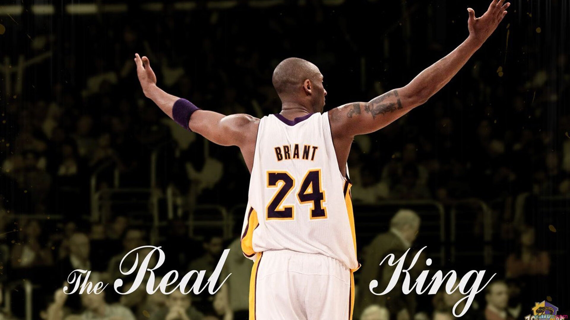 _骑士年轻球员持续发光，未来可期_，骑士球员阵容名单